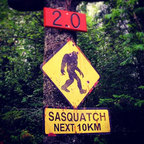 Photo of big foot sign on trail on Johnny Vitorovich's bio page.