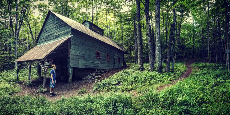 Picture of cabin in the woods on Johnny Vitorovich's bio page.