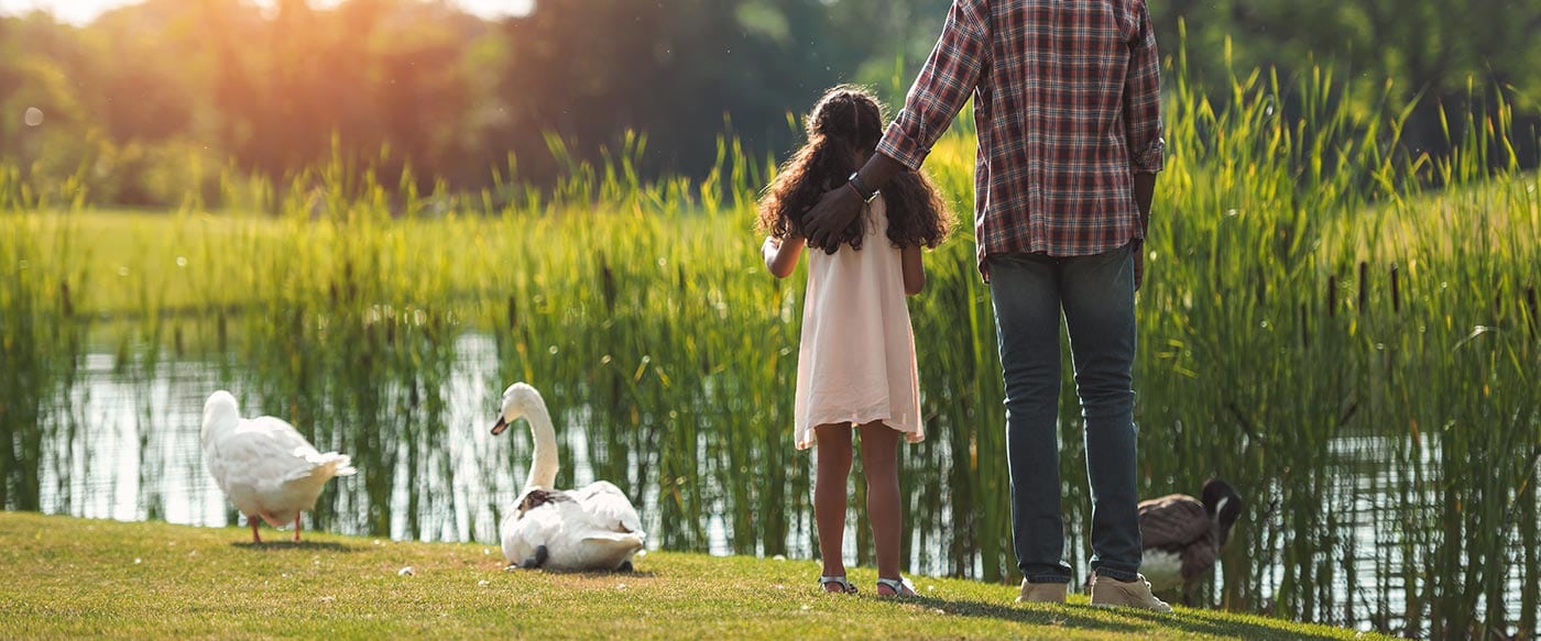 A dad with his daughter feeding geese at a pond