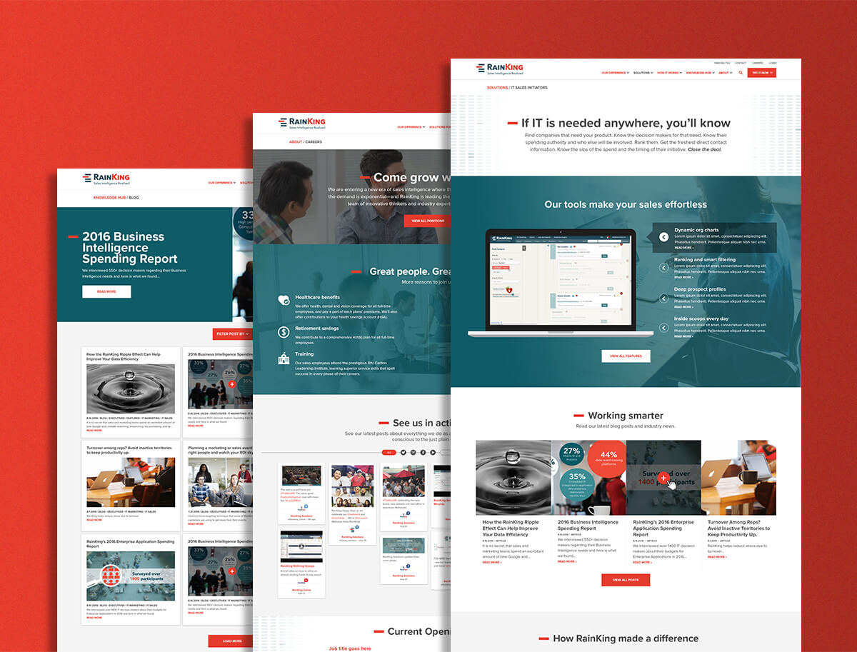 Web designers optimized RainKing's UX and UI for their website redesign, as seen in these screens of the site.