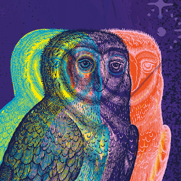 A image of 3 owls in yellow, purple and orange for Folger Theatre
